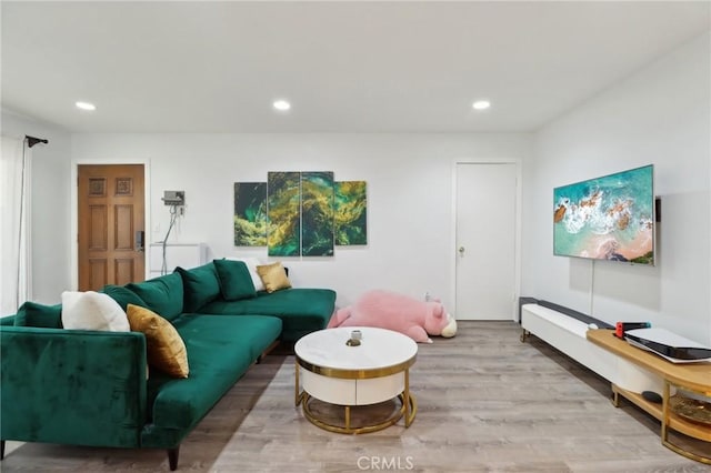 living room featuring hardwood / wood-style flooring