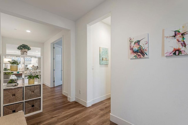 hall featuring hardwood / wood-style floors