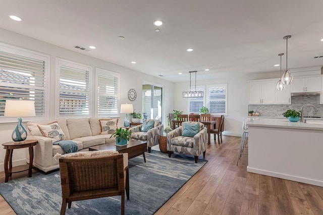 living room with sink and wood-type flooring