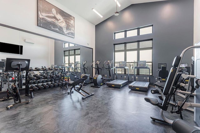 exercise room featuring high vaulted ceiling