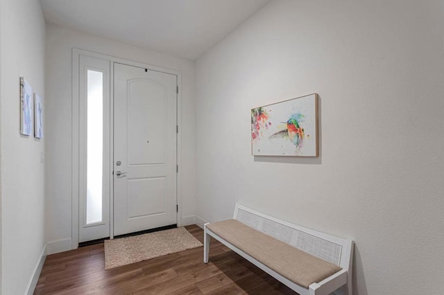 entrance foyer with dark wood-type flooring