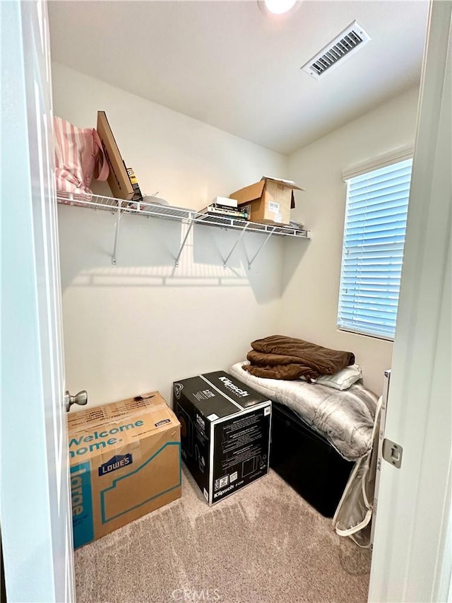 walk in closet with light carpet