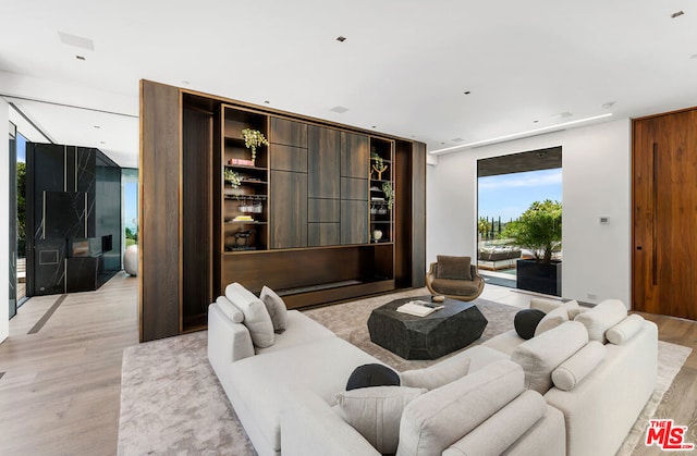 home theater room with light hardwood / wood-style floors