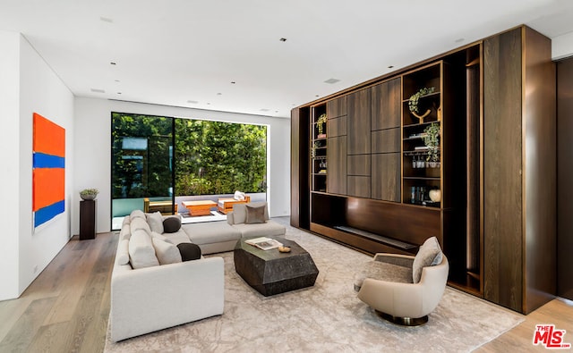 living room featuring light hardwood / wood-style floors