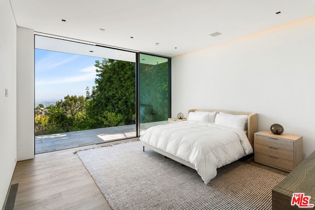 bedroom featuring light wood-type flooring, access to outside, and multiple windows