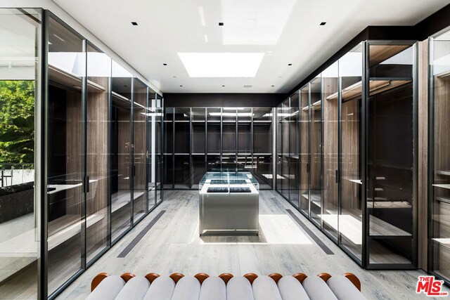 spacious closet featuring a skylight and light hardwood / wood-style floors