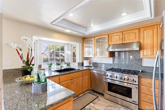 kitchen featuring sink, appliances with stainless steel finishes, a raised ceiling, and dark stone counters