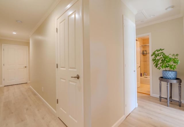 hallway featuring crown molding and light hardwood / wood-style flooring