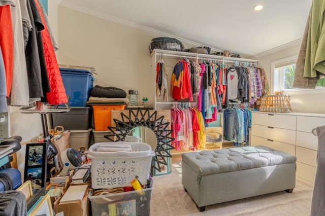 walk in closet featuring light carpet