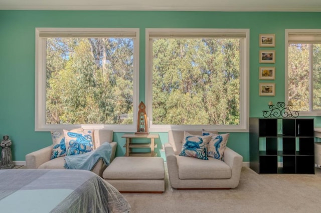 carpeted bedroom featuring multiple windows