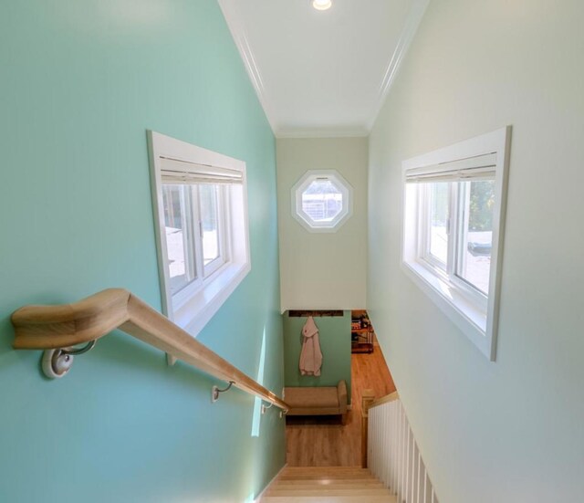 stairs featuring radiator, ornamental molding, and hardwood / wood-style flooring