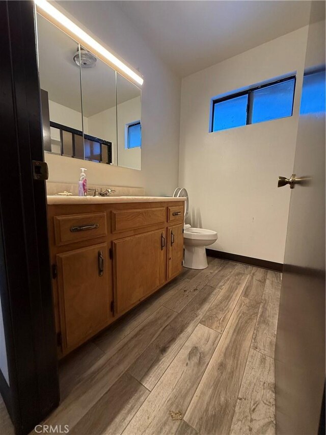 bathroom with toilet and vanity