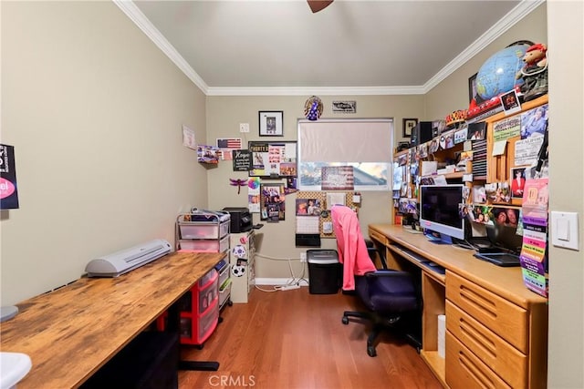 office with crown molding and hardwood / wood-style flooring