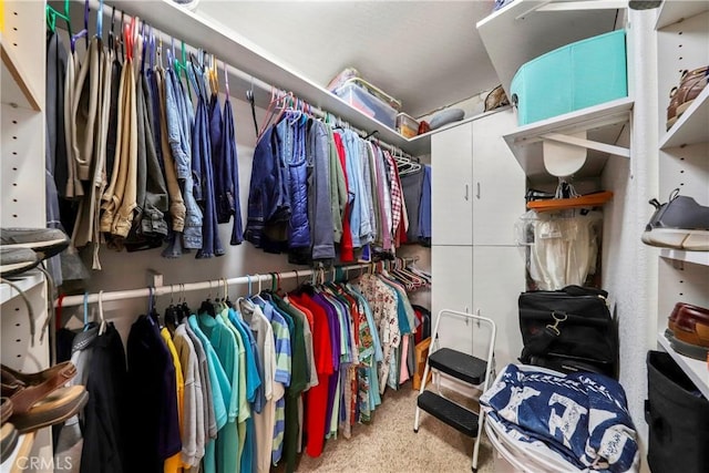 walk in closet featuring carpet floors