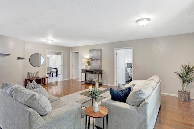 living room featuring wood-type flooring