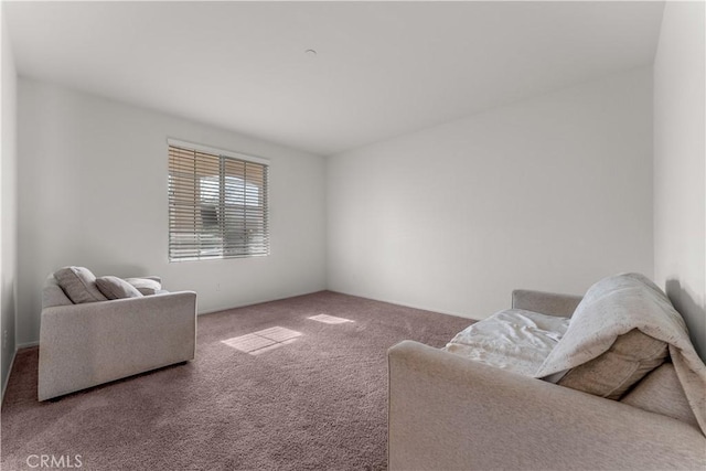 living room with carpet floors