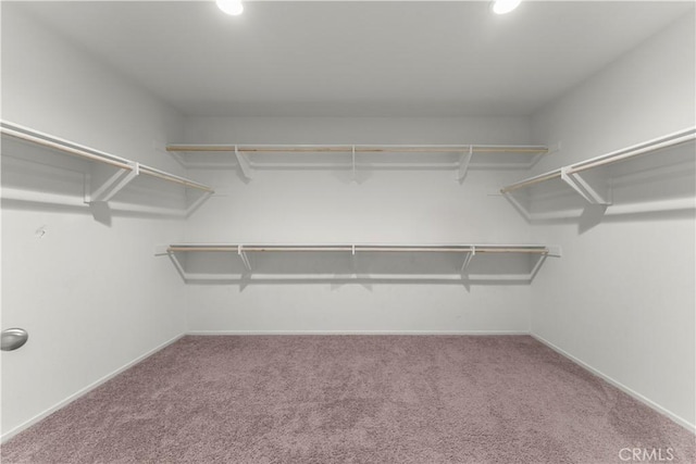 walk in closet featuring carpet floors