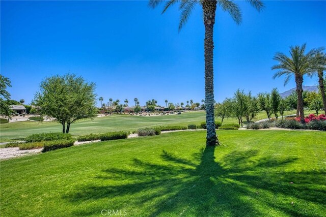 view of property's community featuring a yard