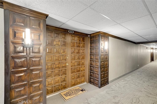 wine cellar featuring a drop ceiling