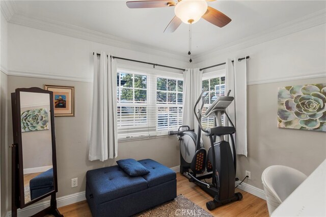 workout area with ceiling fan, wood-type flooring, and a wealth of natural light