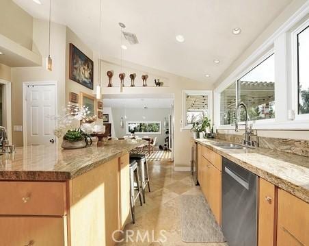 kitchen with stainless steel dishwasher, plenty of natural light, sink, and pendant lighting