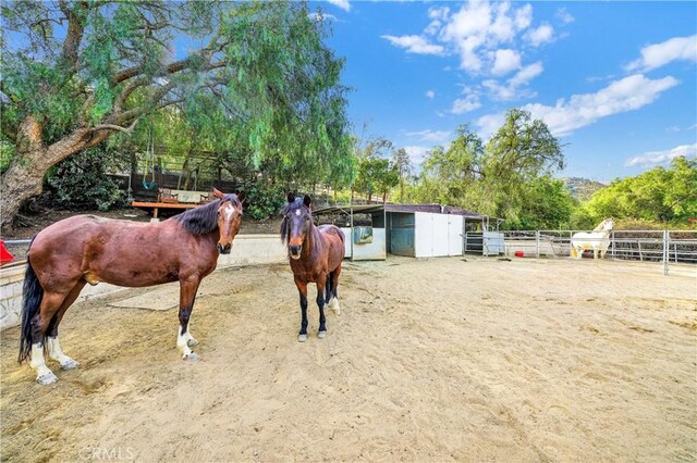 view of horse barn