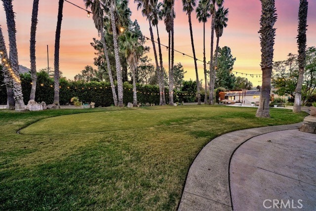 view of yard at dusk