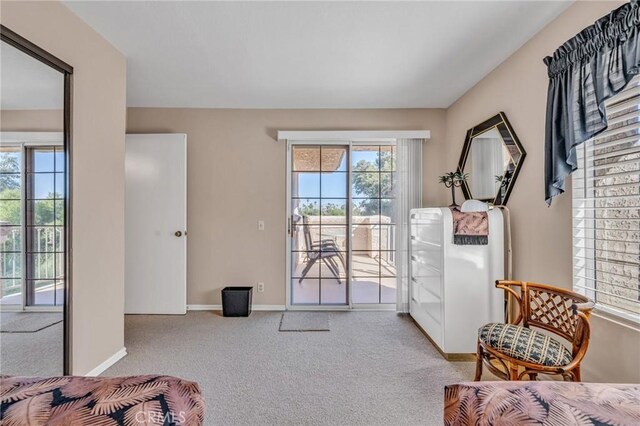 interior space with light colored carpet