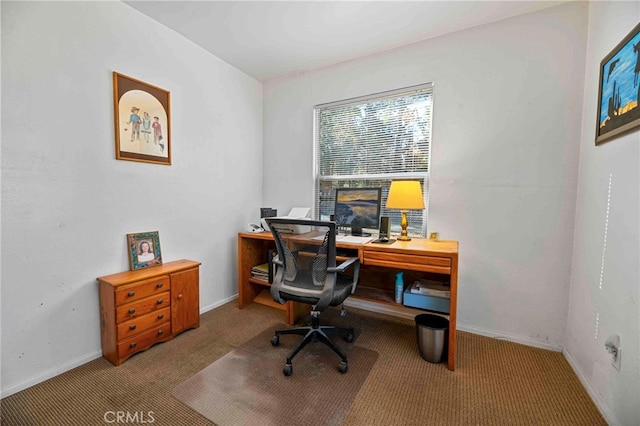 home office with carpet floors