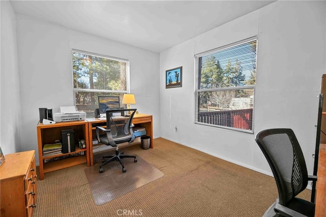 carpeted home office with plenty of natural light