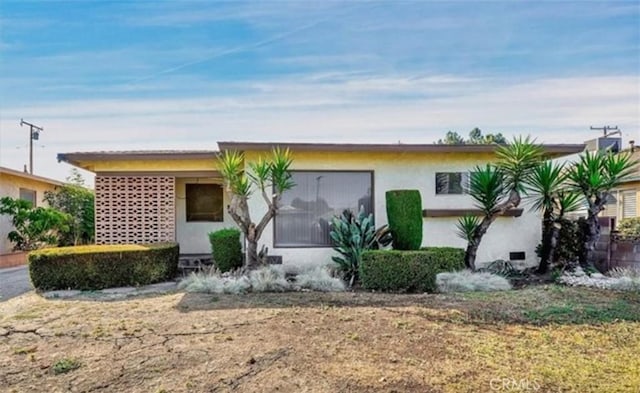 ranch-style house featuring a front yard