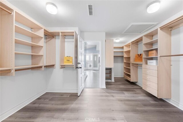 spacious closet with dark wood-type flooring