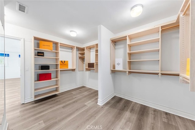 spacious closet featuring wood-type flooring