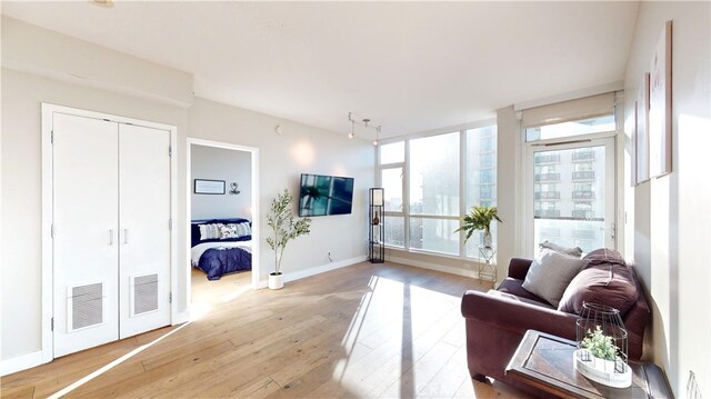 living room featuring light wood-type flooring