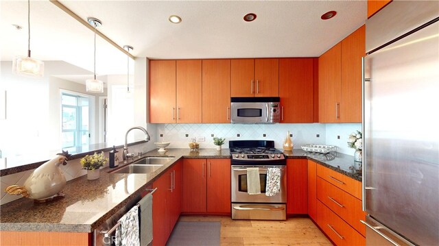 kitchen featuring tasteful backsplash, pendant lighting, sink, light hardwood / wood-style flooring, and appliances with stainless steel finishes