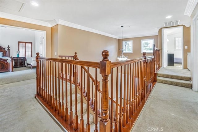 corridor featuring light colored carpet and ornamental molding