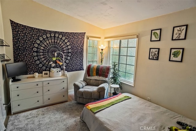 bedroom featuring vaulted ceiling, a textured ceiling, and multiple windows