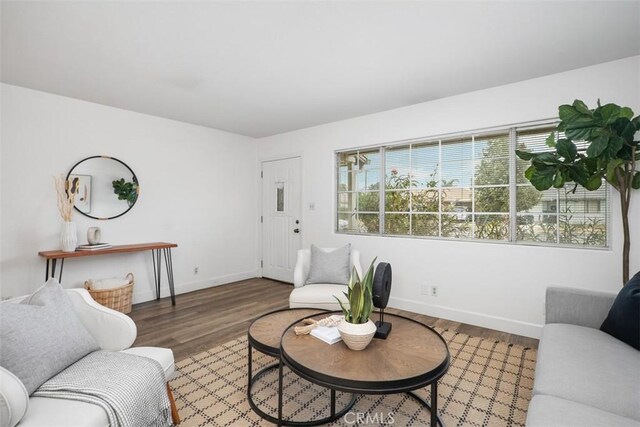 living room with hardwood / wood-style flooring