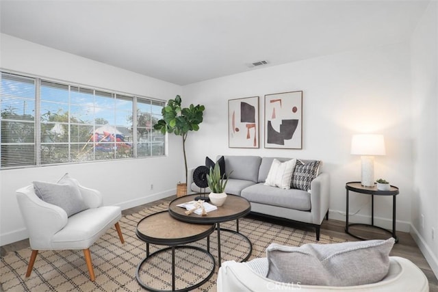 living room featuring light hardwood / wood-style flooring