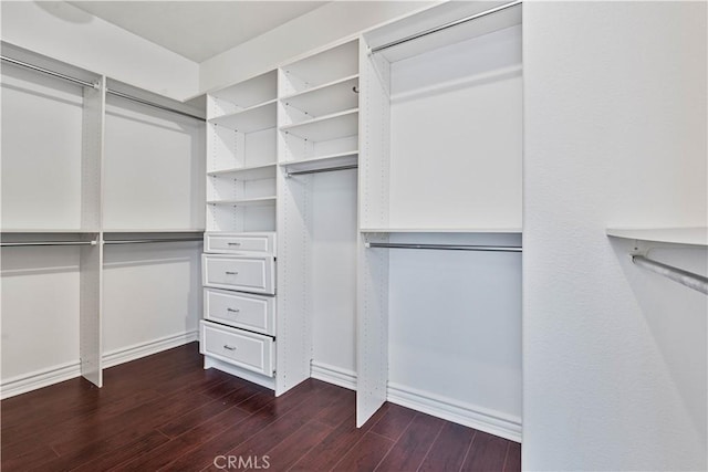 spacious closet featuring dark hardwood / wood-style floors