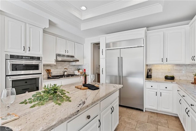 kitchen with light stone countertops, white cabinets, appliances with stainless steel finishes, and a raised ceiling