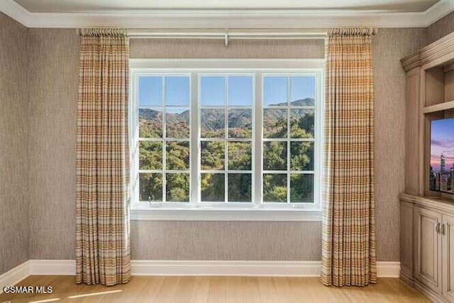 entryway featuring light hardwood / wood-style floors and a mountain view