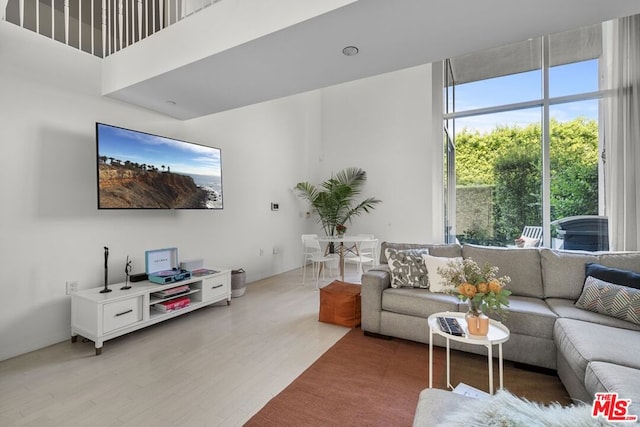 living room with wood-type flooring