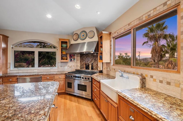 kitchen featuring stainless steel appliances, decorative backsplash, lofted ceiling, range hood, and sink