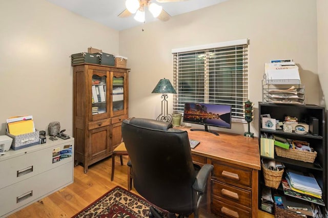 office featuring ceiling fan and light hardwood / wood-style flooring