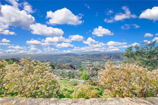 view of mountain feature