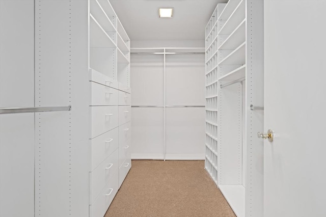 spacious closet featuring light carpet