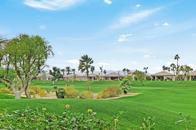 view of home's community featuring a lawn