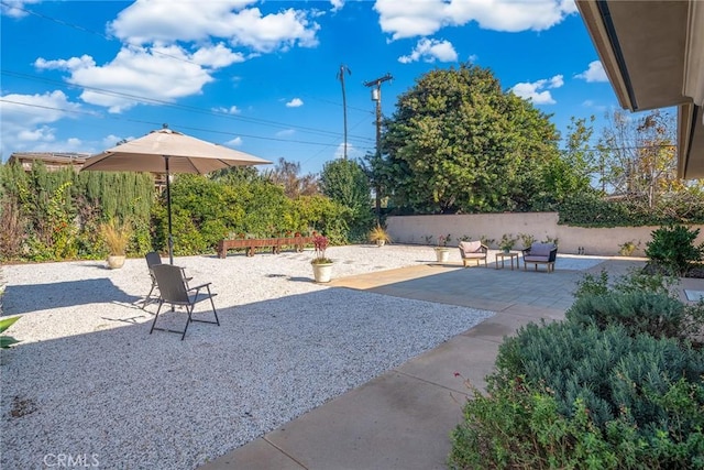 view of yard with a patio area