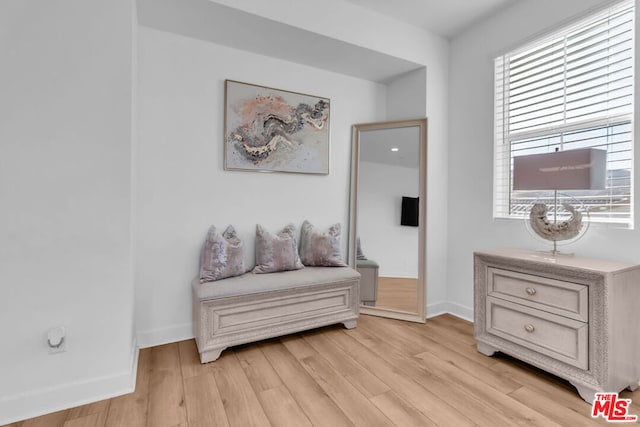 living area with light wood-type flooring